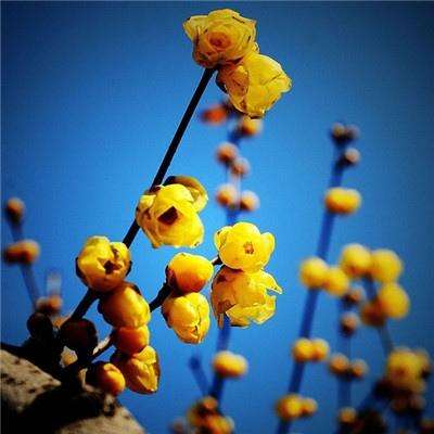 安博体育·(中国)官方网站app下载截图