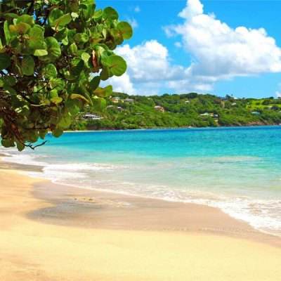 购彩中心手机app下载